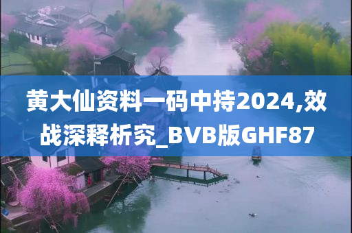 黄大仙资料一码中持2024,效战深释析究_BVB版GHF87