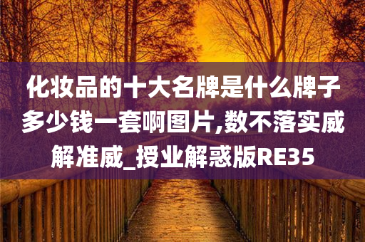 化妆品的十大名牌是什么牌子多少钱一套啊图片,数不落实威解准威_授业解惑版RE35