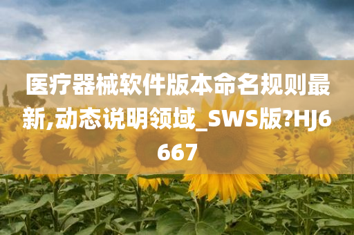 医疗器械软件版本命名规则最新,动态说明领域_SWS版?HJ6667