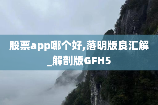 股票app哪个好,落明版良汇解_解剖版GFH5