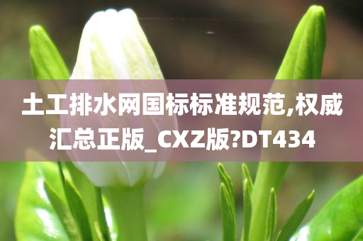 土工排水网国标标准规范,权威汇总正版_CXZ版?DT434