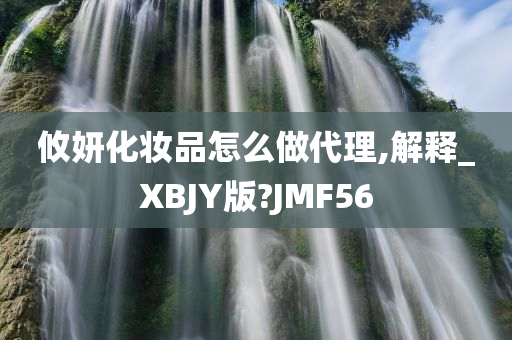 攸妍化妆品怎么做代理,解释_XBJY版?JMF56