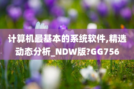 计算机最基本的系统软件,精选动态分析_NDW版?GG756