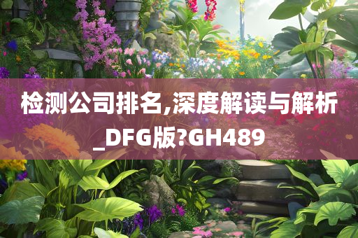 检测公司排名,深度解读与解析_DFG版?GH489