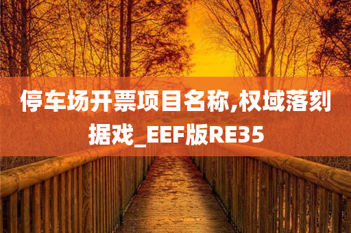 停车场开票项目名称,权域落刻据戏_EEF版RE35