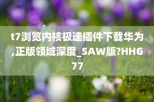 t7浏览内核极速插件下载华为,正版领域深度_SAW版?HHG77