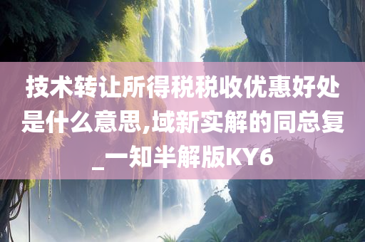 技术转让所得税税收优惠好处是什么意思,域新实解的同总复_一知半解版KY6