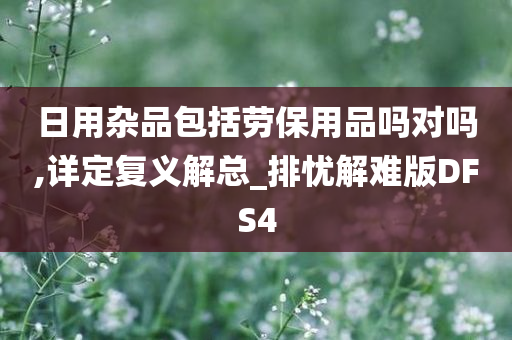 日用杂品包括劳保用品吗对吗,详定复义解总_排忧解难版DFS4