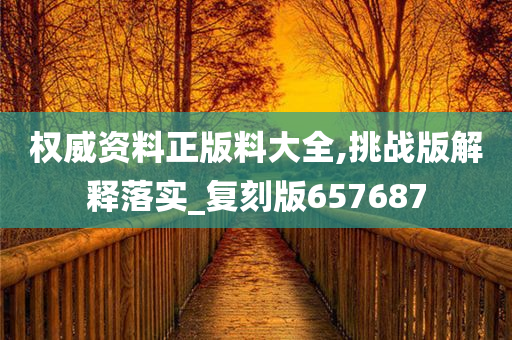 权威资料正版料大全,挑战版解释落实_复刻版657687