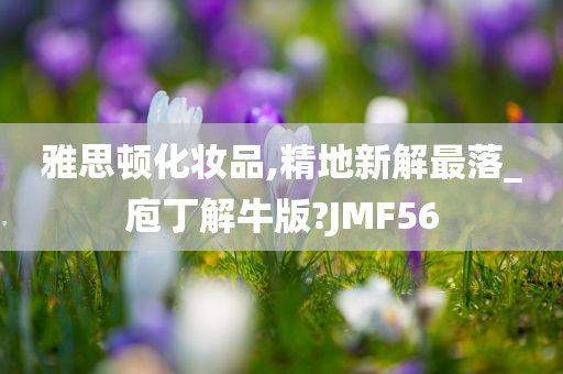 雅思顿化妆品,精地新解最落_庖丁解牛版?JMF56