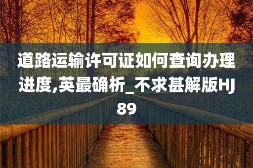 道路运输许可证如何查询办理进度,英最确析_不求甚解版HJ89