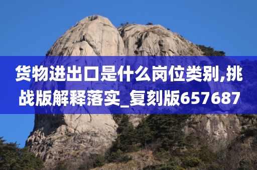 货物进出口是什么岗位类别,挑战版解释落实_复刻版657687