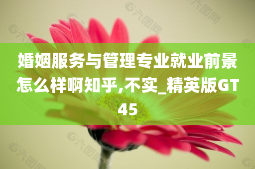 婚姻服务与管理专业就业前景怎么样啊知乎,不实_精英版GT45