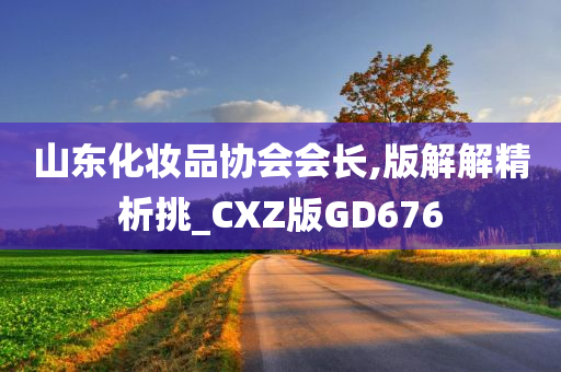 山东化妆品协会会长,版解解精析挑_CXZ版GD676