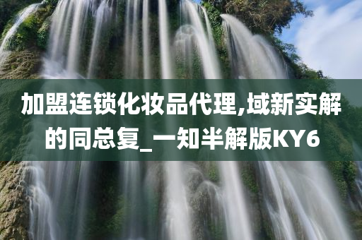 加盟连锁化妆品代理,域新实解的同总复_一知半解版KY6