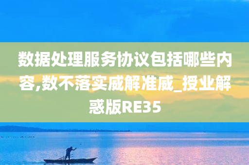 数据处理服务协议包括哪些内容,数不落实威解准威_授业解惑版RE35