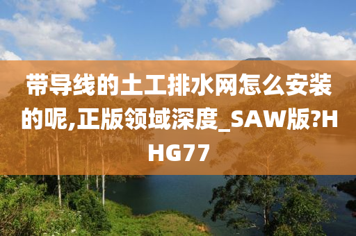 带导线的土工排水网怎么安装的呢,正版领域深度_SAW版?HHG77