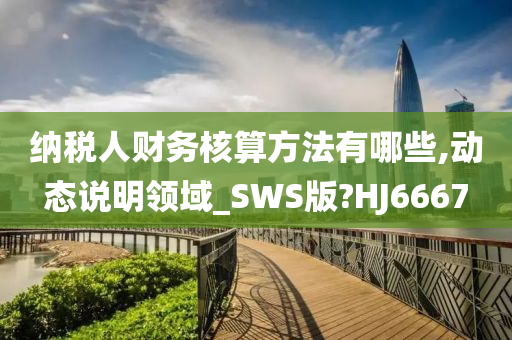 纳税人财务核算方法有哪些,动态说明领域_SWS版?HJ6667