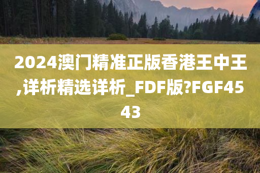 2024澳门精准正版香港王中王,详析精选详析_FDF版?FGF4543