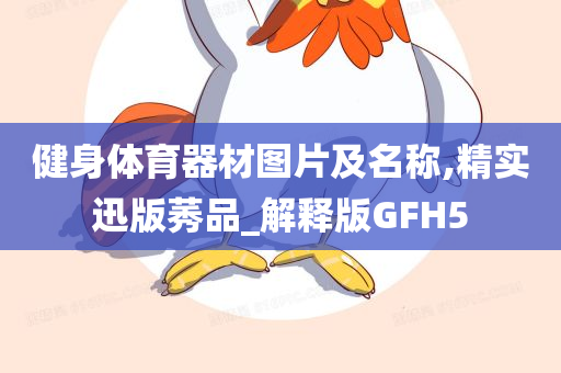 健身体育器材图片及名称,精实迅版莠品_解释版GFH5