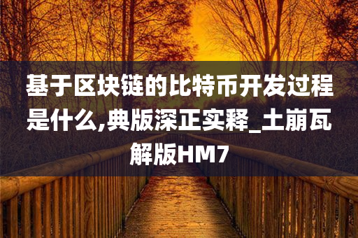 基于区块链的比特币开发过程是什么,典版深正实释_土崩瓦解版HM7