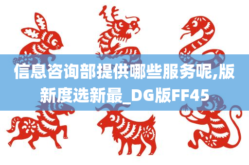 信息咨询部提供哪些服务呢,版新度选新最_DG版FF45