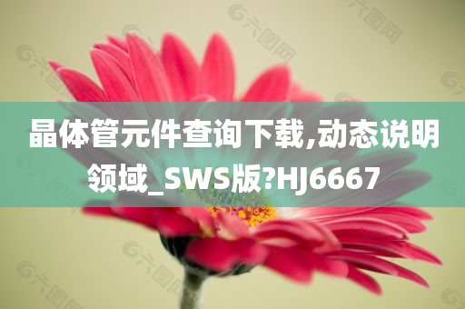 晶体管元件查询下载,动态说明领域_SWS版?HJ6667