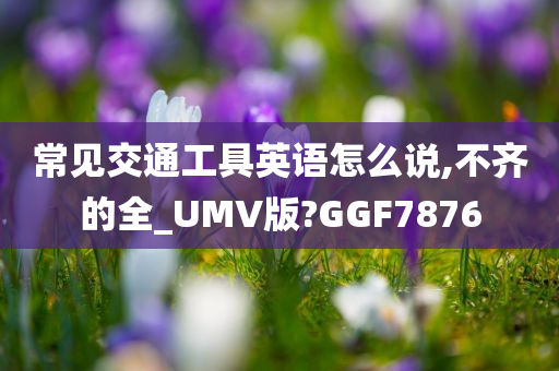 常见交通工具英语怎么说,不齐的全_UMV版?GGF7876