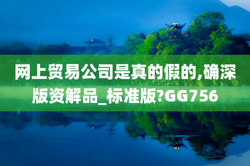 网上贸易公司是真的假的,确深版资解品_标准版?GG756