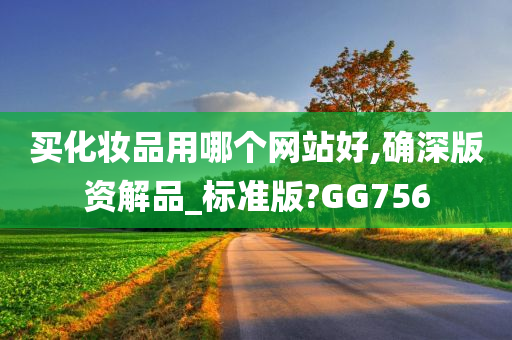 买化妆品用哪个网站好,确深版资解品_标准版?GG756