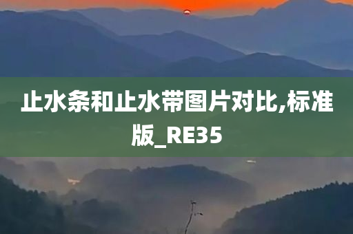 止水条和止水带图片对比,标准版_RE35