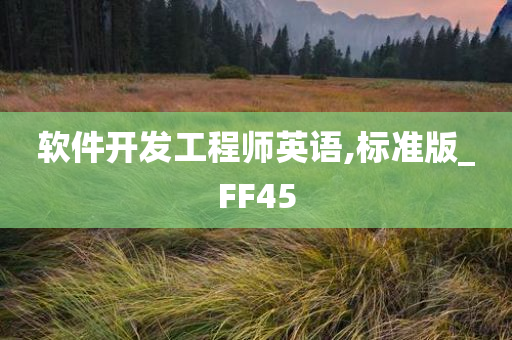 软件开发工程师英语,标准版_FF45