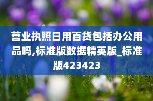 营业执照日用百货包括办公用品吗,标准版数据精英版_标准版423423