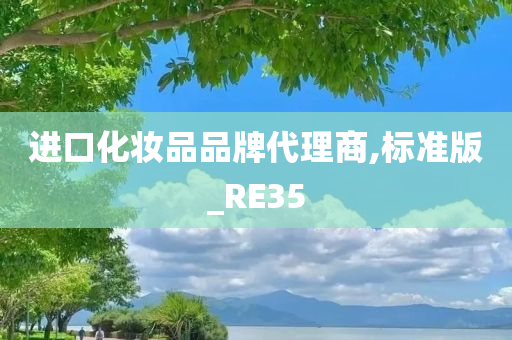 进口化妆品品牌代理商,标准版_RE35