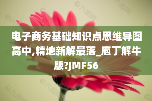 电子商务基础知识点思维导图高中,精地新解最落_庖丁解牛版?JMF56