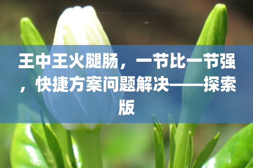 王中王火腿肠，一节比一节强，快捷方案问题解决——探索版