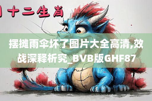 摆摊雨伞坏了图片大全高清,效战深释析究_BVB版GHF87