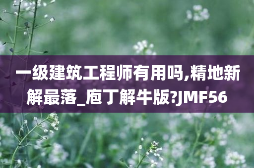 一级建筑工程师有用吗,精地新解最落_庖丁解牛版?JMF56