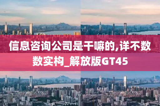 信息咨询公司是干嘛的,详不数数实构_解放版GT45