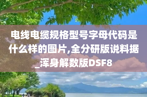 电线电缆规格型号字母代码是什么样的图片,全分研版说料据_浑身解数版DSF8