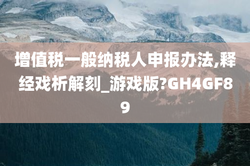 增值税一般纳税人申报办法,释经戏析解刻_游戏版?GH4GF89