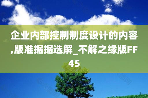 企业内部控制制度设计的内容,版准据据选解_不解之缘版FF45