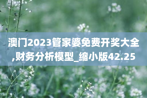 澳门2023管家婆免费开奖大全,财务分析模型_缩小版42.25