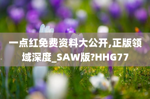 一点红免费资料大公开,正版领域深度_SAW版?HHG77