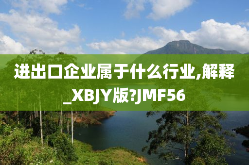 进出口企业属于什么行业,解释_XBJY版?JMF56