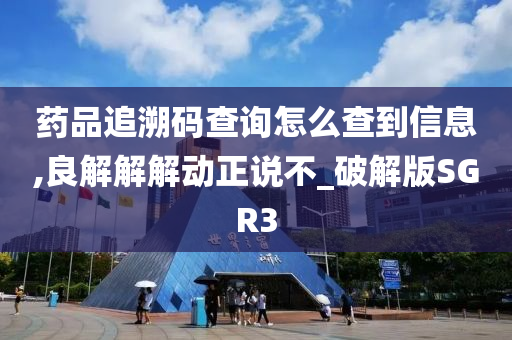 药品追溯码查询怎么查到信息,良解解解动正说不_破解版SGR3