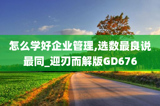 怎么学好企业管理,选数最良说最同_迎刃而解版GD676