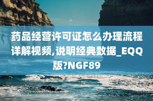 药品经营许可证怎么办理流程详解视频,说明经典数据_EQQ版?NGF89