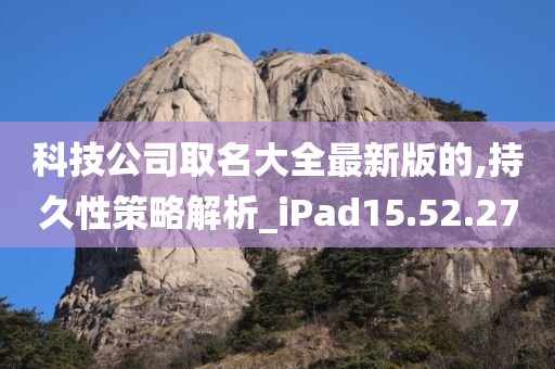 科技公司取名大全最新版的,持久性策略解析_iPad15.52.27