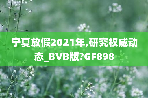 宁夏放假2021年,研究权威动态_BVB版?GF898